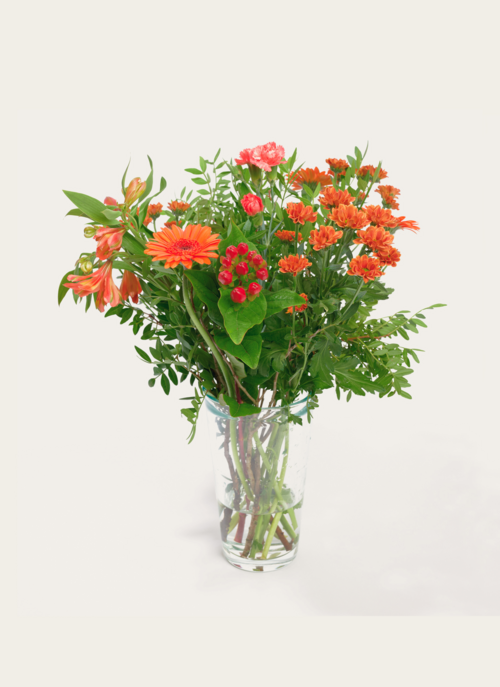 Boeket Bloemen Emmanuel | Hallmark Cadeau Bloemen En Planten |