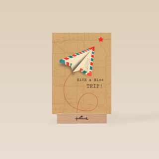 vliegtuig have a nice trip