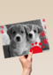twee schattige hondjes
