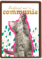 Proficiat met je communie kat