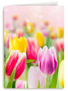 lente kaart tulpen voorjaar