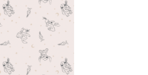 Welkom lief kleintje Stitch