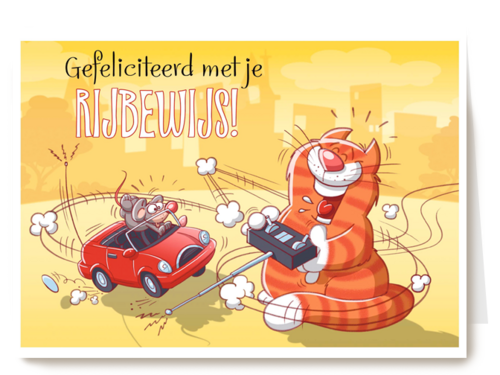 kat met bestuurbare auto
