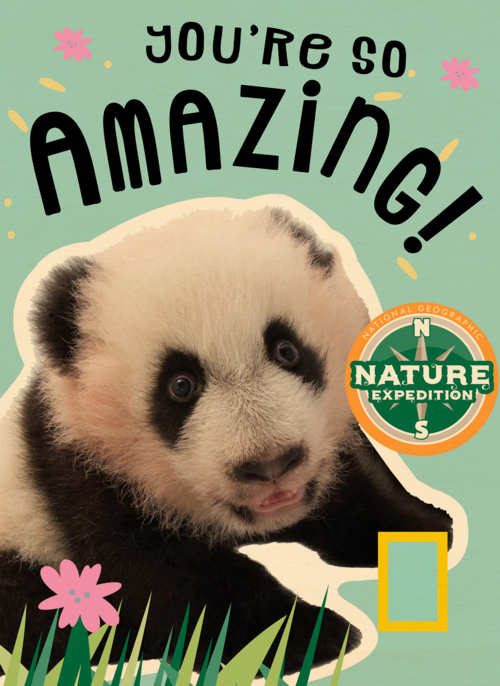 Houten Kaart Verjaardagskaarten | Verjaardag Kaart Pandabeer