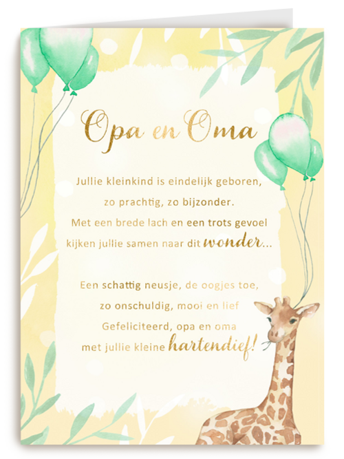 Geboortekaart kleinkind Opa en oma gefeliciteerdMore than words