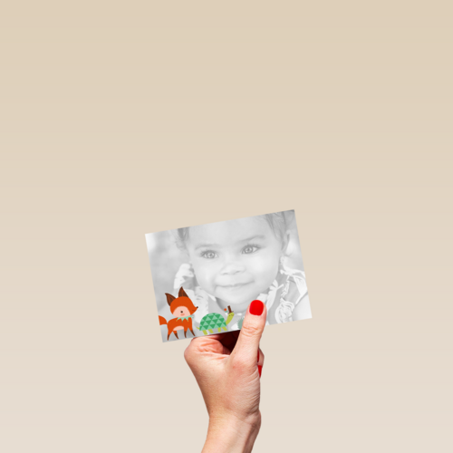 fotokaart liggend vosje schildpad egeltje