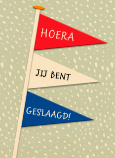 geslaagd kaart nederlandse vlaggetjes