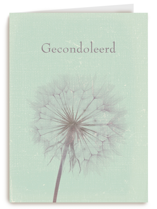 Kaart Hallmark | Condoleance Kaarten | Gecondoleerd Paardenbloem