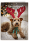 Kerstmis Hond Met Gewei