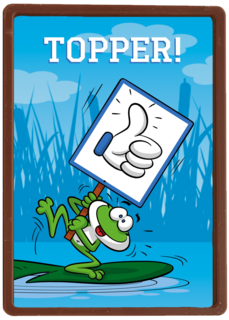 Bedanktkaart juf meester Kikker met topper