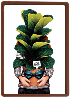 vriendschap kaart folio with love plant