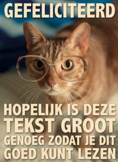 verjaardag vrouw grappig tekst groot genoeg kaart