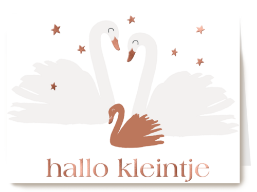 Kaart Hallmark | Geboortekaartjes Geboorte Felicitatie | Hallo Kleintje Met Zwanen