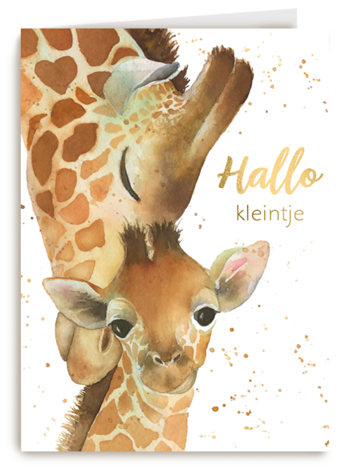 geboorte hallo kleintje giraffe