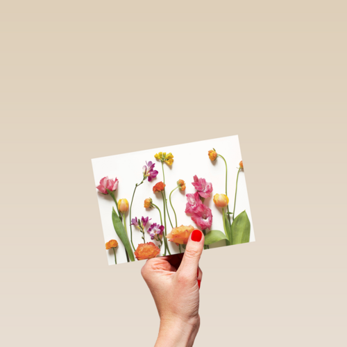 veldbloemen