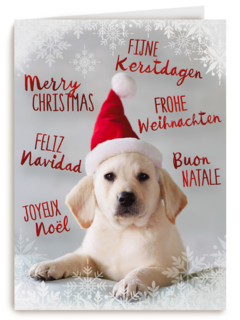 kerstpuppy met muts
