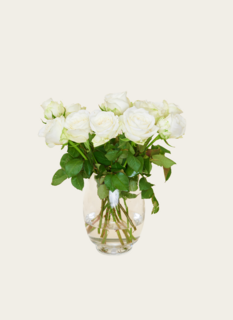 Brievenbusbloemen Rozen Wit