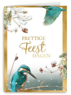 Kerstkaart marjolein bastin ijsvogel