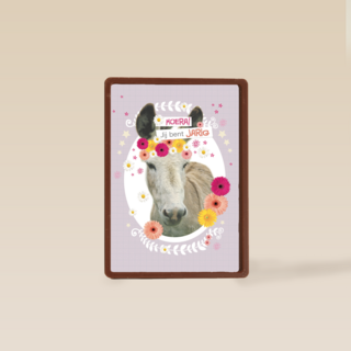 prodo dieren ezel jij bent jarig