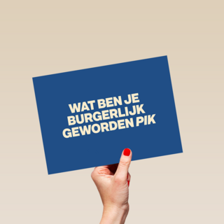 And C wat ben je burgerlijk geworden pik