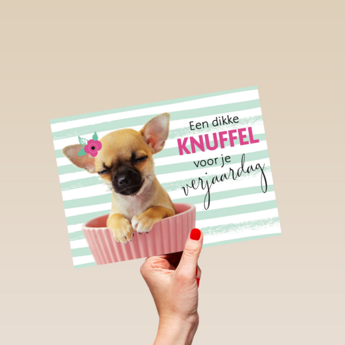 verjaardagskaart met de tekst een dikke knuffel voor je verjaardag
