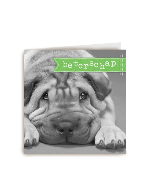 zielige hond beterschap