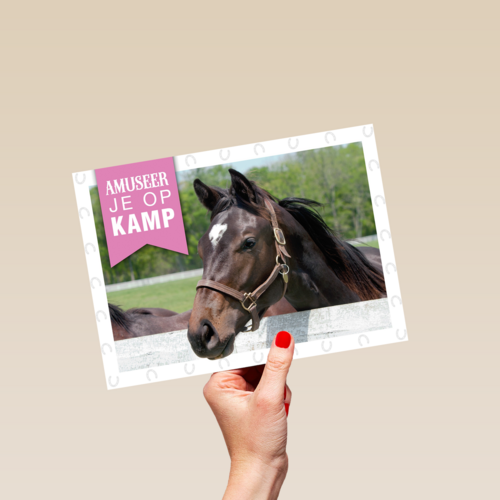 amuseer je op paardenkamp