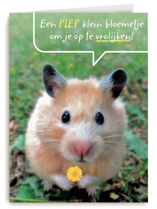 een piepklein bloemetje voor jou