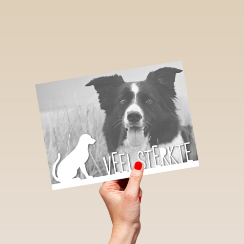 fotokaart veel sterkte verlies huisdier hond