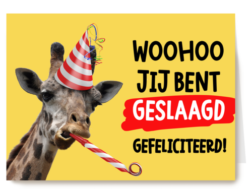 Kaart Hallmark | Diploma | Geslaagd Kaart Giraf Met Feestmuts