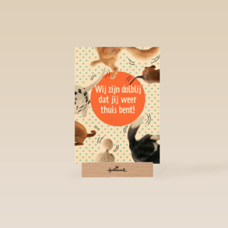 dolblij dat jij weer thuis bent