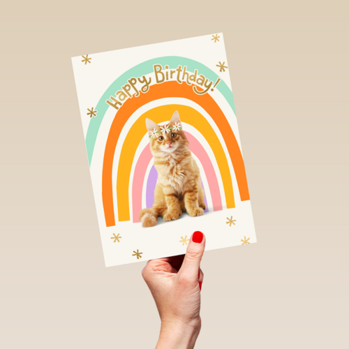 Regenboog kat Happy Birthday