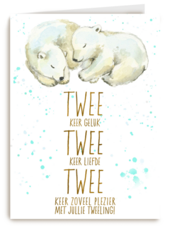2 keer geluk 2 keer liefde 2 keer plezier met jullie tweeling