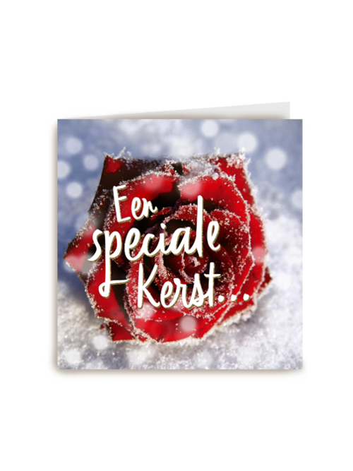 een special kerst met roos