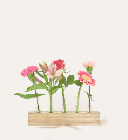 Brievenbuspakket Vaasjes Pink | Hallmark Cadeau Bloemen En Planten |