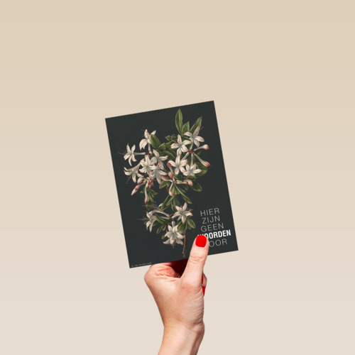 hier zijn geen woorden voor bloemen