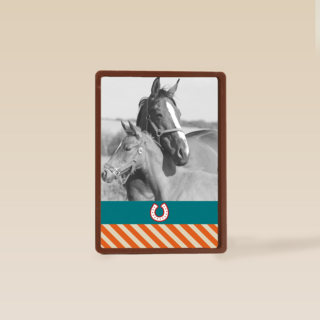 fotokaart voor paarden