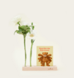 Brievenbusbloemen Flowershot Wit