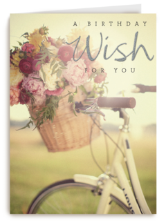 prodo a birthday wish for you