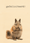 Gefeliciteerd kaart furry cuddles eekhoorn