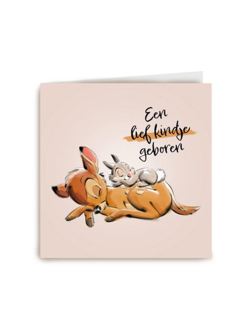 Een lief kindje op komst met Bambi
