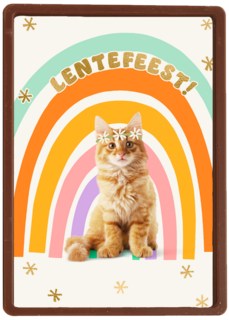 Regenboog Kat Lentefeest