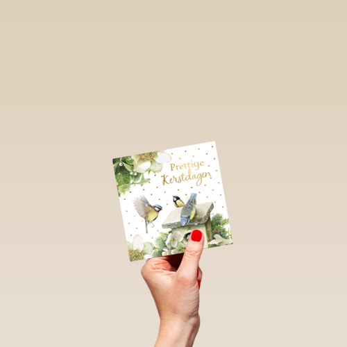 kerstkaart marjolein bastin koolmezen prettige kerstdagen
