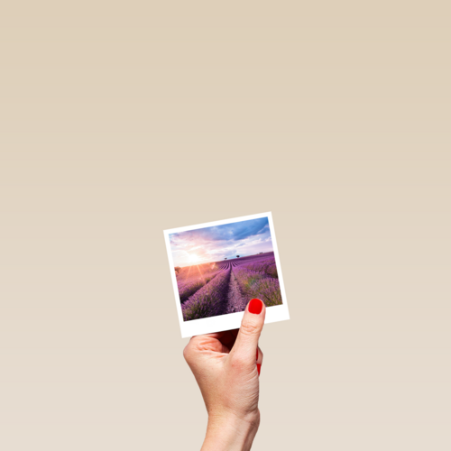 Groetjes uit kaart Polaroid