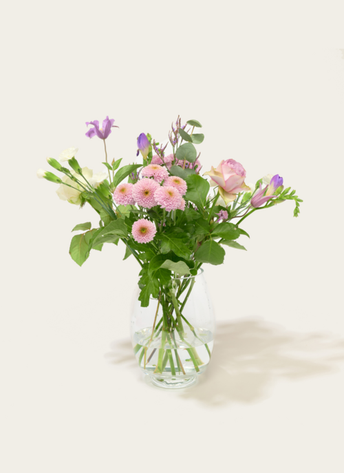 Brievenbusbloemen Marjolein Bastin | Marjolein Bastin Cadeau Verse Bloemen |