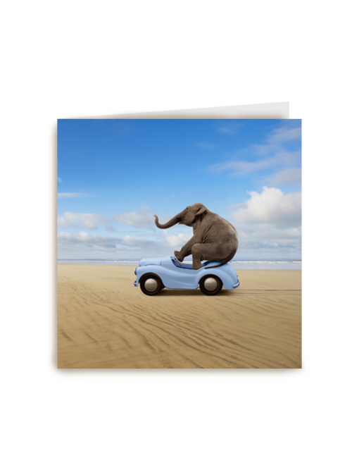 Kaart Hallmark | Groetjes Uit | Olifant In Auto
