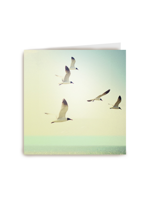 Kaart Hallmark | Condoleance Kaarten | Vogels Aan Het Strand