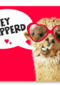 valentijnskaart grappig hey knapperd lama