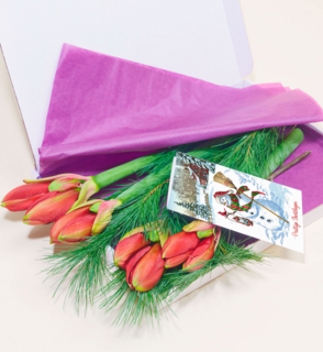 Brievenbusbloemen Amaryllis Rood