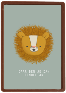 geboorte jongen daar ben je dan eindelijk